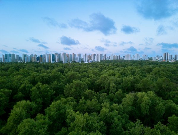 Top formations en communication à lille proposées par istc