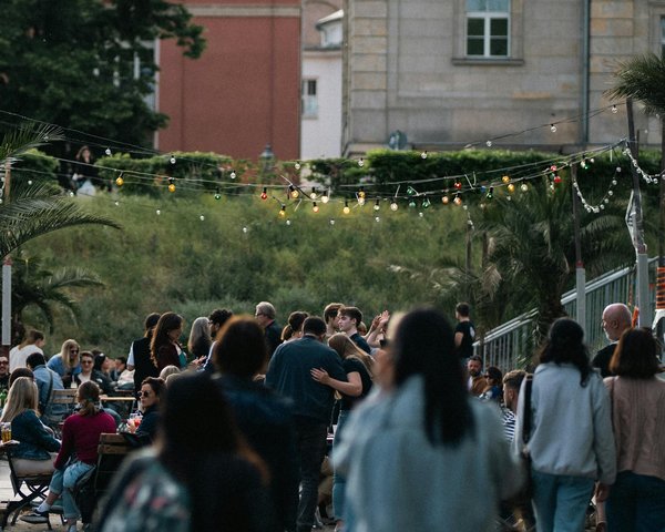 Huile de chanvre : Conseils pour un stockage parfait