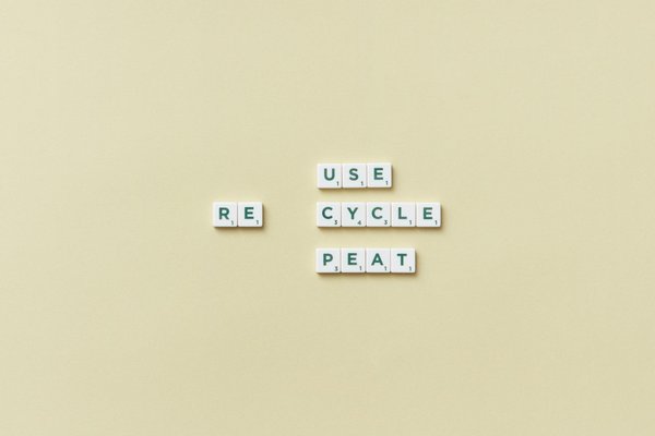 5 raisons de choisir un courtier en immobilier