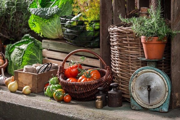 Quelles stratégies pour lancer un festival de théâtre d'ombres qui raconte des histoires historiques locales?